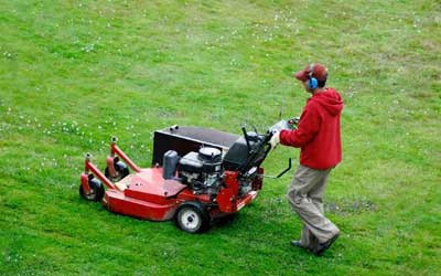 5 Key Benefits Of Having Lawn Care Services
